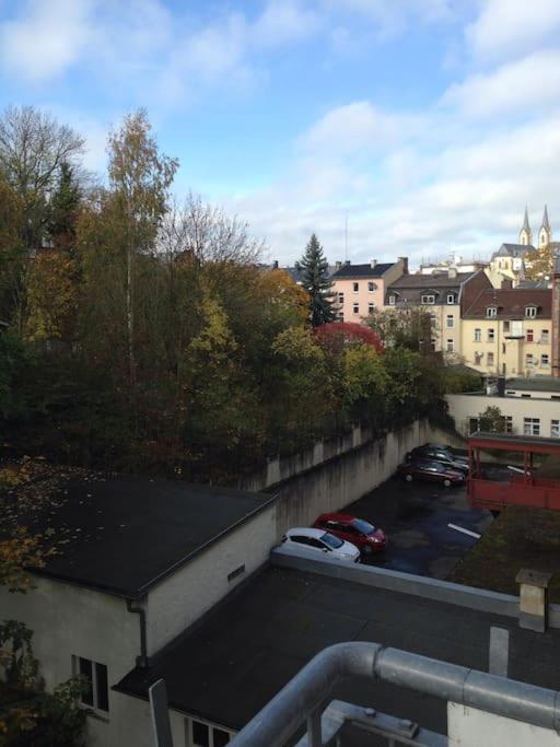 Schoenes City-Apartment Im Zentrum Mit Balkon ホーフ エクステリア 写真